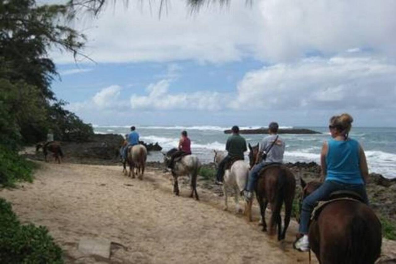 The Perfect Family Destination Villa Kahuku Kültér fotó